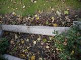 image of grave number 198861